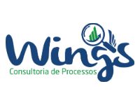 wings-consultoria-processos